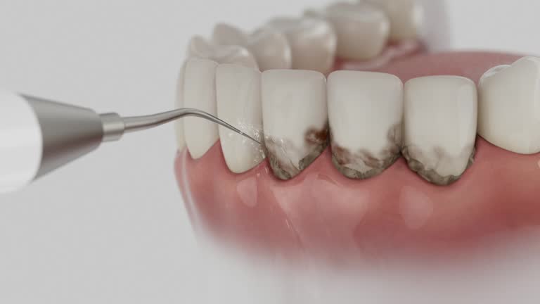 Reliable Dental contractor in Church Hill, PA by Dentist Open Now